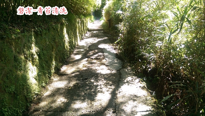 磐潔-登山步道-青苔清洗